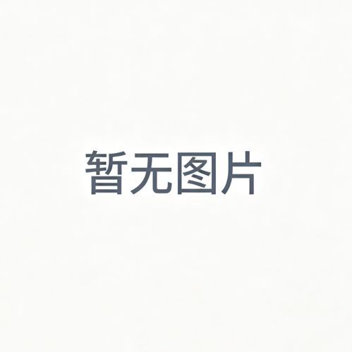RIGEL MEDICAL 410A950 替換攜行箱